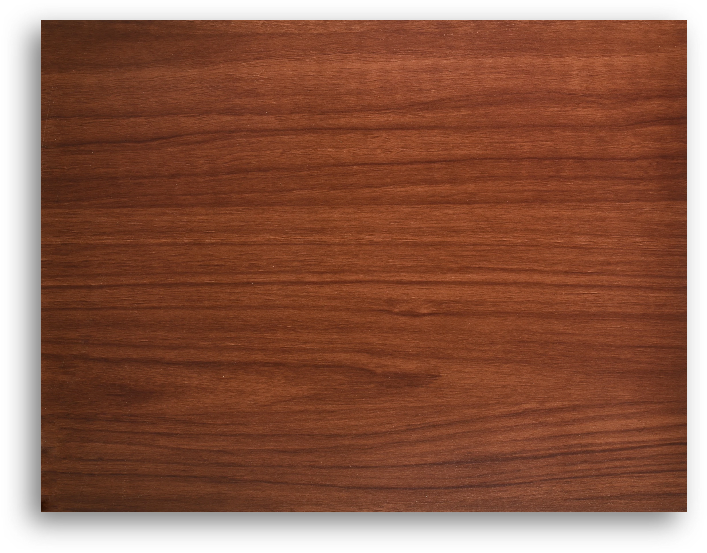Chestnut