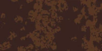 Western Rust