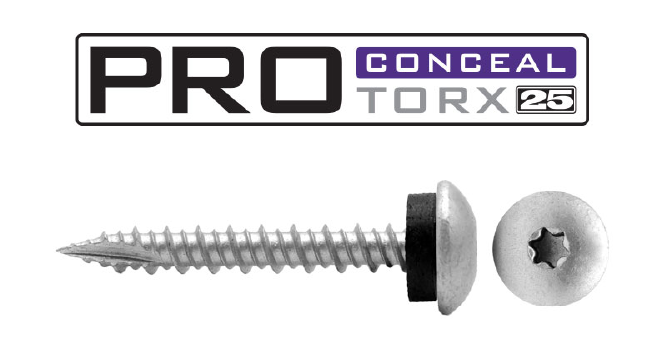 PRO CONCEAL TORX™ 25 T25 Star Drive Fastener with Washer